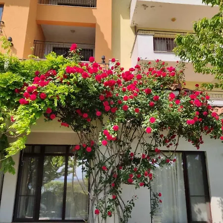 Marina Cape Morie Apartmán *